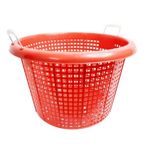 Alternative view of Cần Xé Quai Sắt - 475